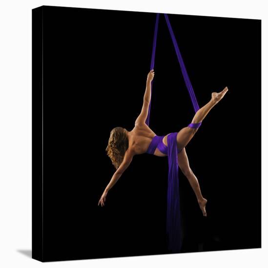 Photo of female dancer-Panoramic Images-Stretched Canvas