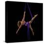 Photo of female dancer-Panoramic Images-Stretched Canvas