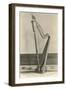 Photo of Harp in Napoleon's House-null-Framed Art Print