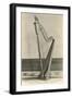 Photo of Harp in Napoleon's House-null-Framed Art Print