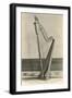 Photo of Harp in Napoleon's House-null-Framed Premium Giclee Print