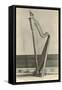 Photo of Harp in Napoleon's House-null-Framed Stretched Canvas