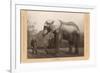 Photo of Jumbo the Elephant-null-Framed Premium Giclee Print