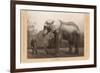 Photo of Jumbo the Elephant-null-Framed Premium Giclee Print