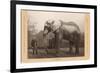 Photo of Jumbo the Elephant-null-Framed Premium Giclee Print