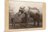 Photo of Jumbo the Elephant-null-Mounted Premium Giclee Print