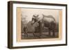 Photo of Jumbo the Elephant-null-Framed Art Print