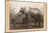 Photo of Jumbo the Elephant-null-Mounted Art Print