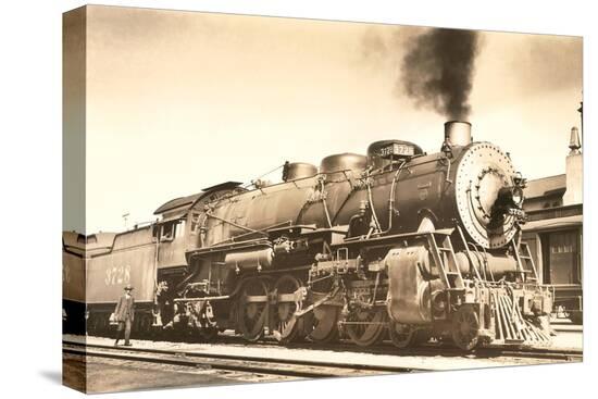 Stretched Canvas Print, , large