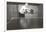 Photo of Man Playing Ping-Pong-null-Framed Art Print