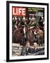 Photo of Pres. Kennedy and Gen. De Gaulle, During Trip to Paris, June 9, 1961-Paul Schutzer-Framed Photographic Print