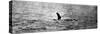 Photo of the Loch Ness Monster?-null-Stretched Canvas