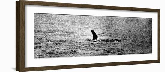 Photo of the Loch Ness Monster?-null-Framed Photographic Print