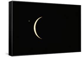 Photo of Venus & Crescent Moon-Fred Espenak-Framed Stretched Canvas