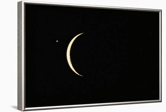 Photo of Venus & Crescent Moon-Fred Espenak-Framed Photographic Print