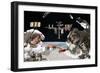 Photo Op-Barry Kite-Framed Premium Giclee Print