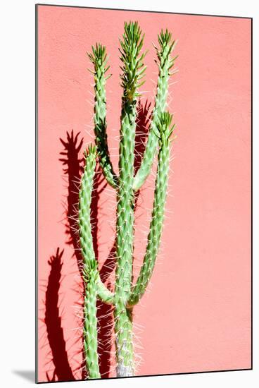 Photo Picture of a Tropical Cactus Texture Background-underworld-Mounted Photographic Print