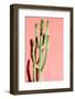 Photo Picture of a Tropical Cactus Texture Background-underworld-Framed Photographic Print