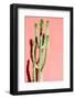 Photo Picture of a Tropical Cactus Texture Background-underworld-Framed Photographic Print