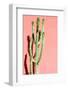 Photo Picture of a Tropical Cactus Texture Background-underworld-Framed Photographic Print