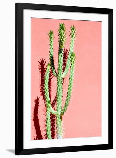 Photo Picture of a Tropical Cactus Texture Background-underworld-Framed Premium Photographic Print