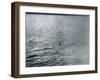 Photo Taken at 7.30 AM on (Probably) 19 April 1934-Radcliffe Wilson-Framed Premium Photographic Print