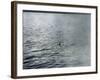 Photo Taken at 7.30 AM on (Probably) 19 April 1934-Radcliffe Wilson-Framed Photographic Print