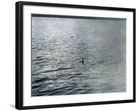 Photo Taken at 7.30 AM on (Probably) 19 April 1934-Radcliffe Wilson-Framed Photographic Print