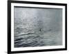 Photo Taken at 7.30 AM on (Probably) 19 April 1934-Radcliffe Wilson-Framed Photographic Print