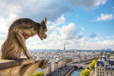 Paris Aerial View with Chimera-photo ua-Framed Photographic Print