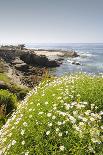 Children's Pool at La Jolla in Spring-Photo168-Photographic Print