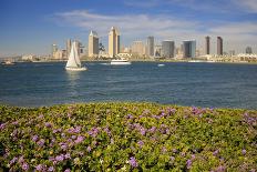 Children's Pool at La Jolla in Spring-Photo168-Photographic Print