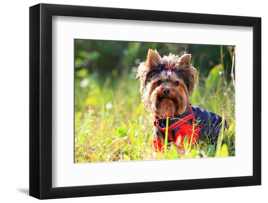 Photographic Print, , large