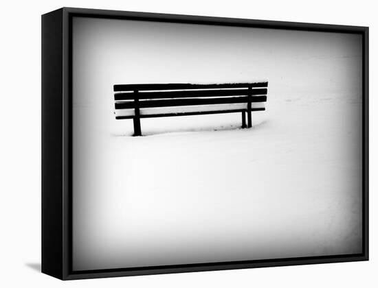Photobird-Sharon Wish-Framed Stretched Canvas