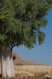 Namibian Landscape-photofit-Laminated Photographic Print