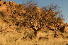 Namibian Landscape-photofit-Framed Photographic Print