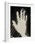 Photogram, 1926-Laszlo Moholy-Nagy-Framed Giclee Print