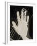 Photogram, 1926-Laszlo Moholy-Nagy-Framed Giclee Print