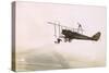 Photograph of a Wingwalkers on a Biplane-null-Stretched Canvas