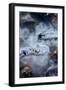 Photograph of Abstract Ice Formations Found-Jordi Elias Grassot-Framed Photographic Print