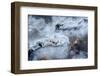 Photograph of Abstract Ice Formations Found-Jordi Elias Grassot-Framed Photographic Print