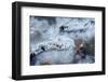 Photograph of Abstract Ice Formations Found-Jordi Elias Grassot-Framed Photographic Print