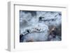 Photograph of Abstract Ice Formations Found-Jordi Elias Grassot-Framed Photographic Print