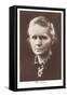 Photograph of Madame Curie-null-Framed Stretched Canvas