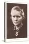 Photograph of Madame Curie-null-Stretched Canvas