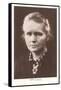 Photograph of Madame Curie-null-Framed Stretched Canvas