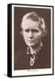 Photograph of Madame Curie-null-Framed Stretched Canvas