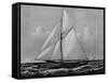 Photograph of Sketch of the Thistle, the Losing Scottish Entry in Race for America's Cup in 1887-null-Framed Stretched Canvas