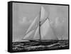 Photograph of Sketch of the Thistle, the Losing Scottish Entry in Race for America's Cup in 1887-null-Framed Stretched Canvas