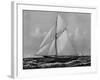 Photograph of Sketch of the Thistle, the Losing Scottish Entry in Race for America's Cup in 1887-null-Framed Photographic Print